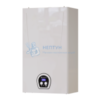 Настенный газовый двухконтурный котел Federica Bugatti ECO Light 12 (12 кВт)