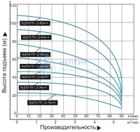 Скважинный насос Водоток БЦПЭ 75-1.2-40м-Ч