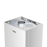 Настенный газовый двухконтурный котел Haier ProLine S 2.28 Ti