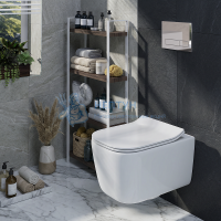 Клавиша для инсталляции АНИ Пласт Хром глянцевый WPG1511G