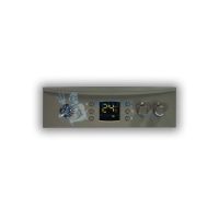 Настенный газовый двухконтурный котел Vanward Pioneer Plus 36F (36 кВт)