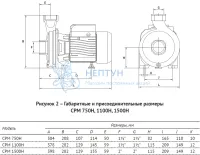 Поверхностный консольный насос CPM 750H