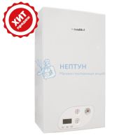 Газовый одноконтурный котел Fondital Antea RBTFS 24