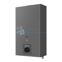 Газовый водонагреватель Thermex F 20 MD 351120