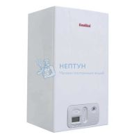 Газовый двухконтурный котел Fondital ANTEA CTFS 40