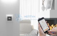 Терморегулятор EcoSmart 25 2239190