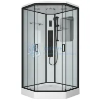 Душевая кабина Niagara Premium 69020134GDBLACK 1000x1000x2200