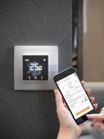 Терморегулятор EcoSmart 25 2239190