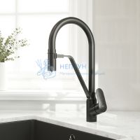 Смеситель для кухни с каналом для питьевой воды и гибким изливом, черный Am.Pm Like F8007822
