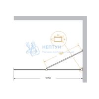 Душевая перегородка универсальная LIBERTA-L-1-TB-125-C-NERO