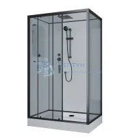 Душевая кабина Niagara Premium 69120134QLBLACK 1200x800x2100