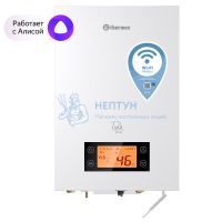 Электрический настенный котел Thermex Tesla 12-24 Wi-Fi