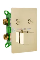 Душевой комплект термостатический REA DAVIS + BOX Gold REA-P6324