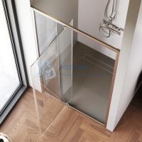 Душевая дверь в нишу 100x195 см Am.Pm Gem W90G-100-1P-MT