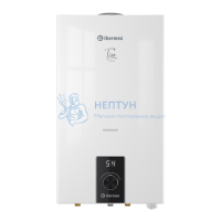 Газовый водонагреватель Thermex T 20 D 351113